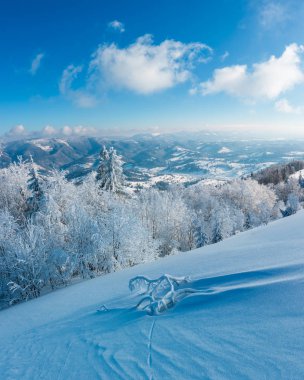 Dağ manzarası güzel süs ağaçları ve snowdrifts yamaç (Karpat Dağları, Ukrayna ile sabah kış sakin)