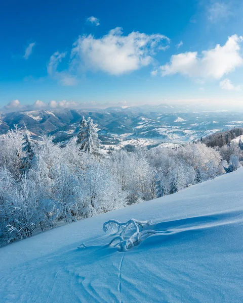 Morgen Winter Ruhige Berglandschaft Mit Schönen Frostigen Bäumen Und Schneeverwehungen — Stockfoto
