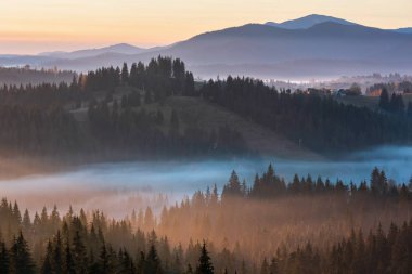 Hava. Erken sabah sis Karpat Dağları (Yablunytsia Köyü ve pass, Ivano-Frankivsk oblast, Ukraine sonbahar yamaçları üzerinde).