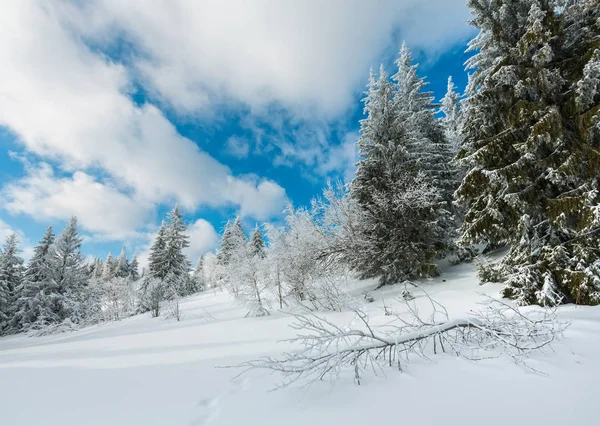 Winter Rustige Berglandschap Met Mooie Glazuur Bomen Voetpad Track Sneeuwlaag — Stockfoto