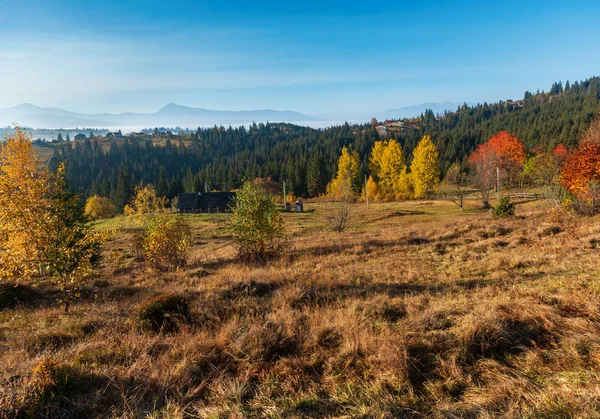 Pentes Matinales Automne Avec Des Arbres Colorés Des Carpates Col — Photo