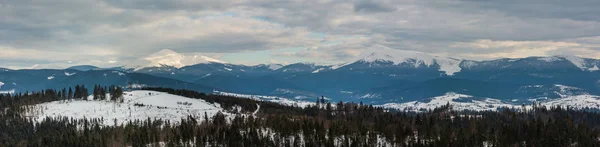 Kvällen Twilight Vintern Molnig Dag Snö Täckta Alp Bergsrygg Ukraina — Stockfoto