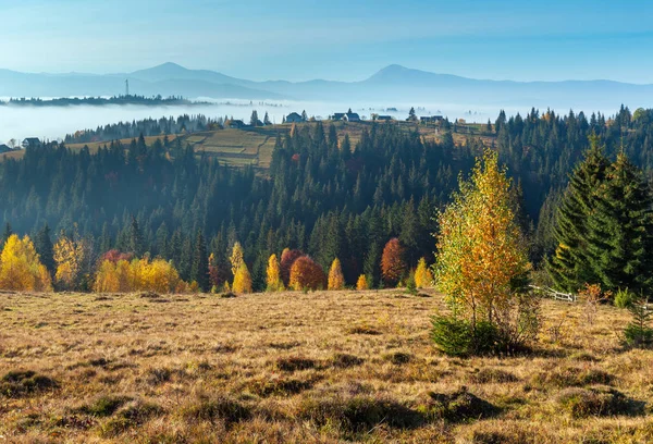 Morgennebel Den Herbsthängen Der Karpaten Dorf Jablunyzja Oblast Iwano Frankiwsk — Stockfoto