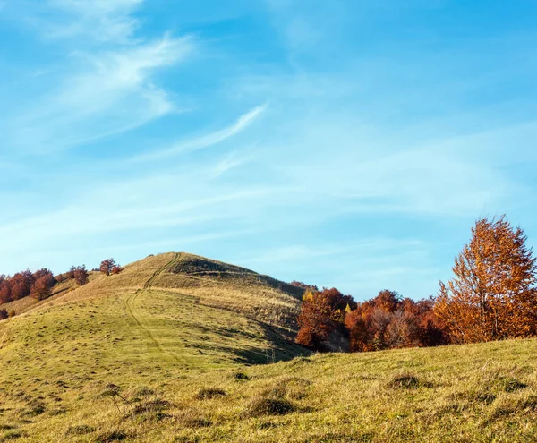 Podzim Karpatské Hory Krajina Vícebarevné Stromy Svahu Stezka Vrchol Kopce — Stock fotografie
