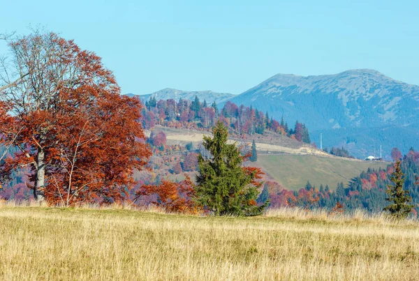 Ranní Podzimní Sjezdovky Barevné Stromy Karpat Yablunytskyj Pass Ivano Frankivsk — Stock fotografie