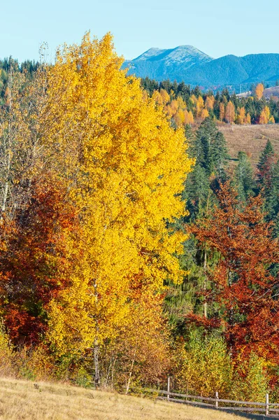 Sabah Karpat Dağları Köy Köyler Yamaçlarında Yablunytsia Köyü Geçmek Ivano — Stok fotoğraf