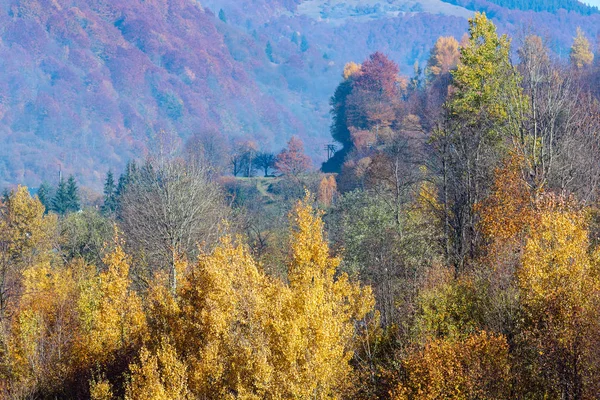 秋天在坡上有五彩的树木的秋色山脉 Rakhiv Transcarpathia 乌克兰 — 图库照片