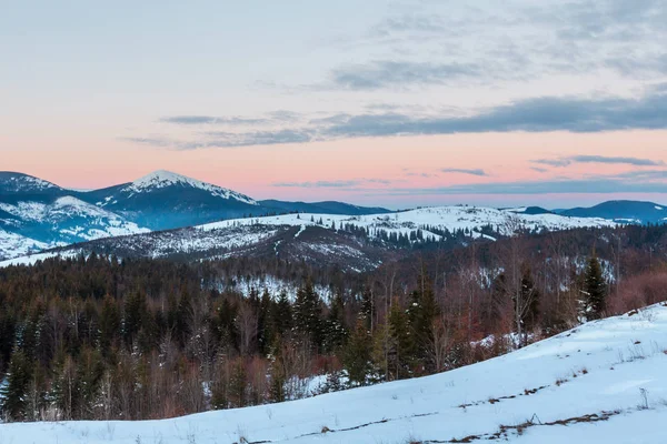 Sera Inverno Nuvoloso Giorno Innevato Alpi Gorgany Cresta Montagna Ucraina — Foto Stock