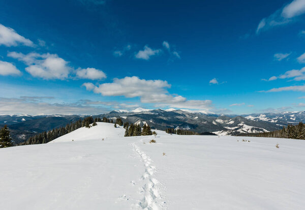 Picturesque winter mountain view from alpine path with footprint. Skupova mountain slope, Ukraine, view to Chornohora ridge and Pip Ivan mountain top, Carpathian.