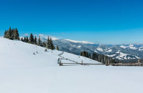 Pittoreske Winter Berg Uitzicht Vanaf Skupova Berghelling Oekraïne Als Wilt — Stockfoto