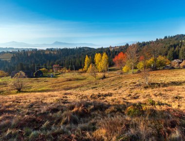 (İle renkli ağaçlar) sabah sonbahar yamaçları Karpat Dağları (Yablunytskyj Pass, Ivano-Frankivsk oblast, Ukraine).