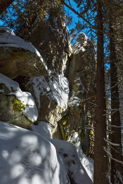 Soleado Día Invierno Cubierto Nieve Piedra Roca Vista Bosque Abeto —  Fotos de Stock