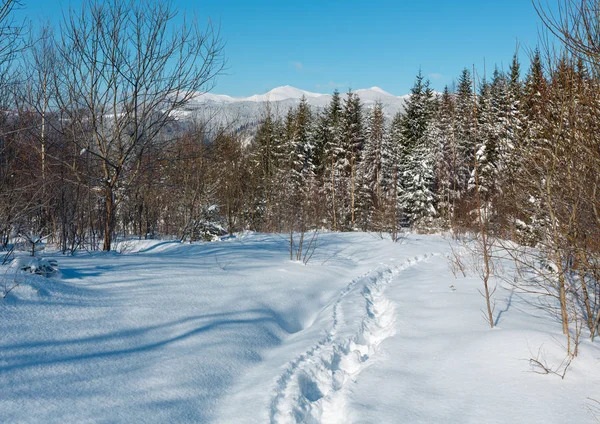 Pintoresca Vista Montaña Invierno Por Mañana Desde Sendero Alpino Con — Foto de Stock