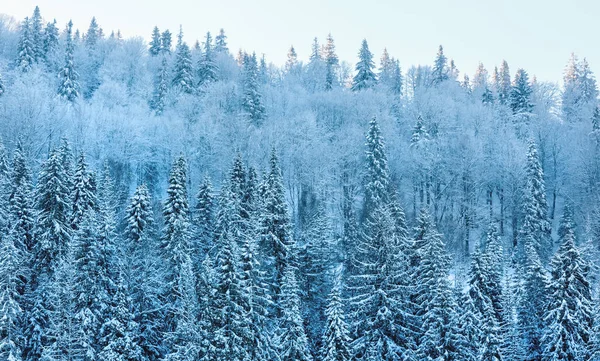 Vroege Ochtend Winter Rust Berglandschap Met Mooie Glazuur Boomtoppen Bergen — Stockfoto