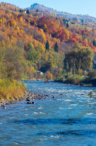 秋カルパティア山斜面および山渓谷 ザカルパト ウクライナの川に色とりどりの黄色オレンジ赤茶色木があるホワイト Tysa 川の風景 — ストック写真