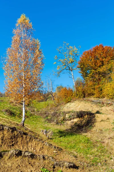 秋天在坡上有五彩的树木的秋色山脉 Rakhiv Transcarpathia 乌克兰 — 图库照片