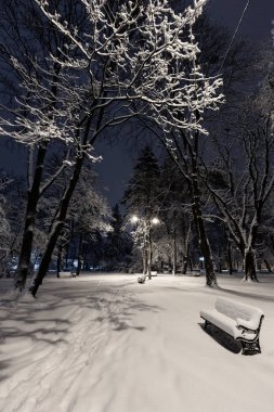 Güzel bir gece kış park karla kaplı ağaçlar ve banklar ile Lviv merkezi City (Ukrayna).