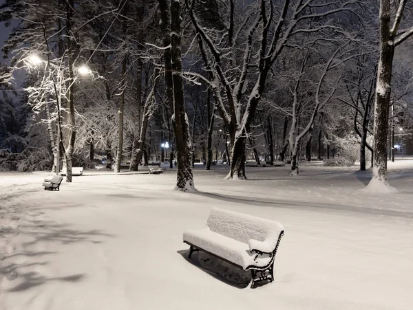 Kaunis Talvipuisto Keskustassa Lviv Kaupunki Ukraina Lumen Peitossa Puita Penkkejä — kuvapankkivalokuva
