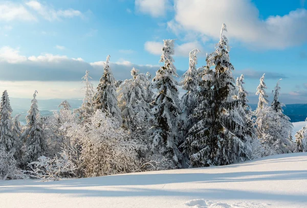 晚上冬天平静的山风景与美丽的结霜树和雪堆在倾斜 乌克兰 — 图库照片