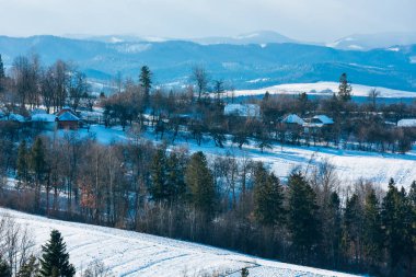 Kış dağ manzarası ile alanı tepenin yamacında, huş ağacı grove ve köyde uzak (Bogorodchany bölgesi, Ivano-Frankivsk region, Ukrayna)