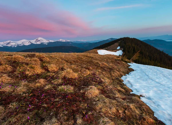 Colorido Paisaje Del Amanecer Primavera Montañas Los Cárpatos Ucrania Europa —  Fotos de Stock