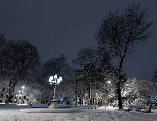 Hermoso Parque Nocturno Invierno Centro Ciudad Lviv Ucrania Con Árboles — Foto de Stock