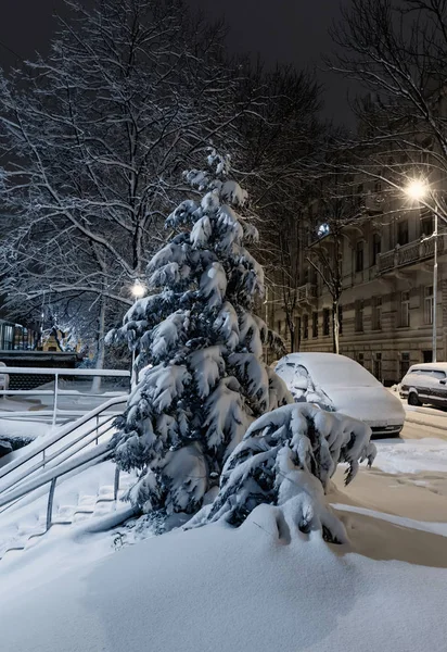 Beautiful evening twilight winter cityscape in the center of Lviv city, Ukraine. The car is covered with snow.