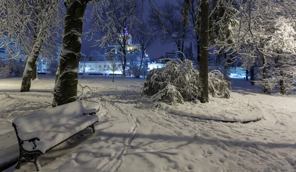 Beautiful Night Winter Park Center Lviv City Ukraine Snow Covered — Stock Photo, Image