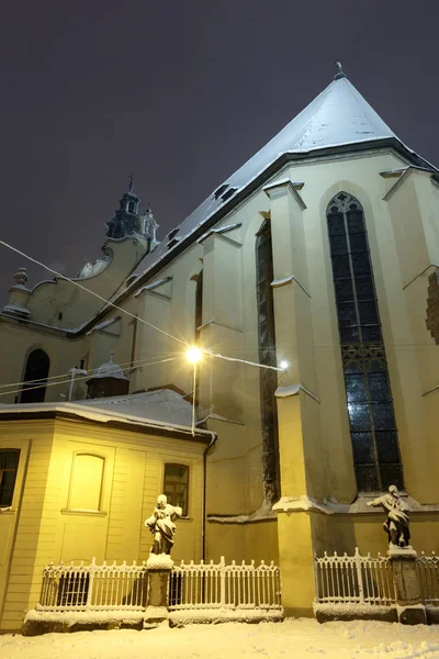 ウクライナ リヴィウ市で昇天 ローマ カトリック大司教 大聖堂 美しい雪の夜薄明のなか冬都市の景観 — ストック写真