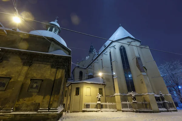 Lviv 우크라이나에에서 천주교 대성당 대성당 그리고 임씨의 Twillight 사용할 플레어 — 스톡 사진