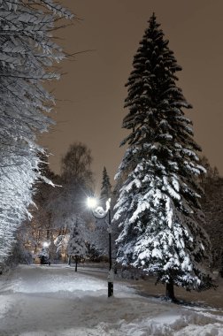 Güzel bir gece kış Stryjskyj park karla kaplı ağaçlar ile Lviv merkezi City (Ukrayna).