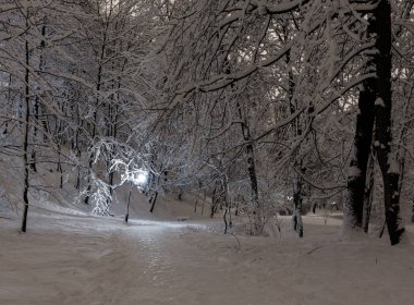 Güzel bir gece kış Stryjskyj park karla kaplı ağaçlar ile Lviv merkezi City (Ukrayna).