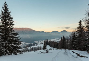 Sunrise sabah kış dağ köyü ilçe sınırı siyah Çeremoş Nehri Vadisi alp arasında. Kırsal karla kaplı yolu görünümünden Christian tepenin yamacında haçlar, Zelene, Verkhovyna Ukrayna.