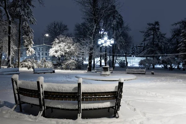 Gyönyörű Éjszaka Téli Park Center Lviv City Ukrajna Havas Fákkal — Stock Fotó