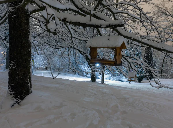 Vacker Natt Vinter Stryjskyj Park Stadens Centrum Lviv Ukraina Med — Stockfoto