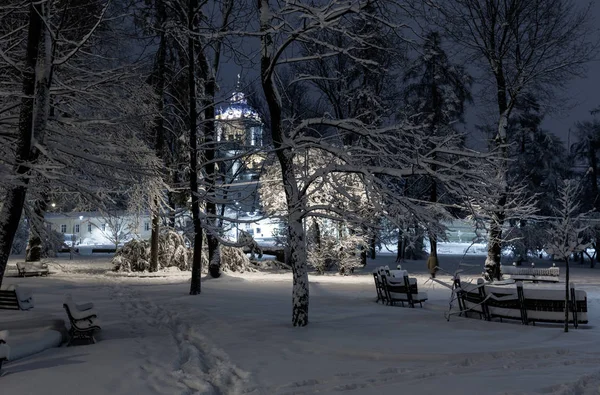 Gyönyörű Éjszaka Téli Park Center Lviv City Ukrajna Havas Fákkal — Stock Fotó