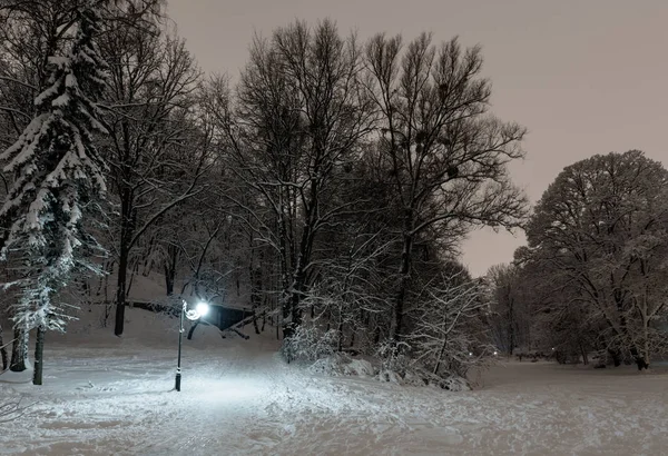Güzel Bir Gece Kış Stryjskyj Park Karla Kaplı Ağaçlar Ile — Stok fotoğraf