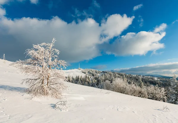 美丽的冬霜树 通讯塔和雪堆在山顶上的蓝色多云的天空背景 乌克兰 喀尔巴阡山山 — 图库照片