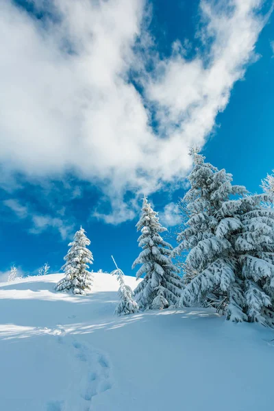Winter Rustige Berglandschap Met Mooie Glazuur Bomen Voetpad Track Sneeuwlaag — Stockfoto