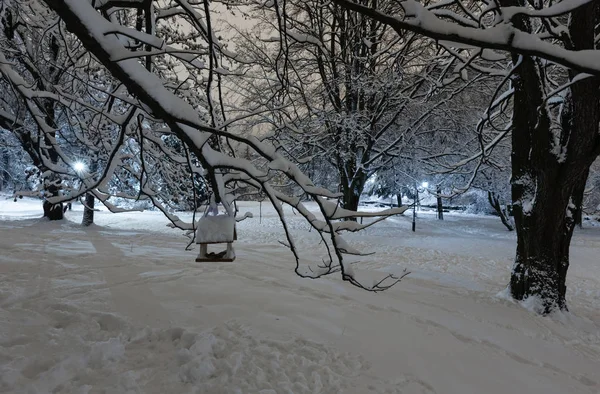 美丽的夜晚冬季 Stryjskyj 公园在利沃夫市中心 乌克兰 与雪覆盖的树木和鸟架 — 图库照片