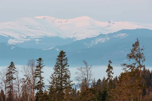 우크라이나 눈덮인 산봉우리가 파티아 산맥의 — 스톡 사진