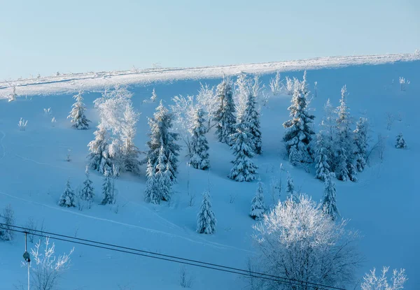 朝冬穏やかな美しいつや消し木 カルパティア山脈 ウクライナ スキー斜面の吹きだまりと山の風景 — ストック写真