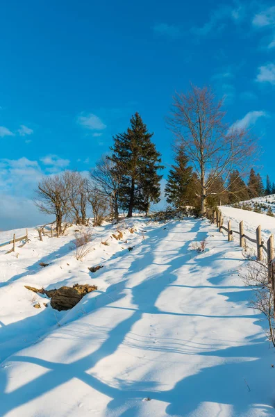 冬の朝の風景美しい山農村雪カバー パスとフット プリント ウクライナ カルパティア山脈 静かな平和な Dzembronya 村郊外の丘 — ストック写真