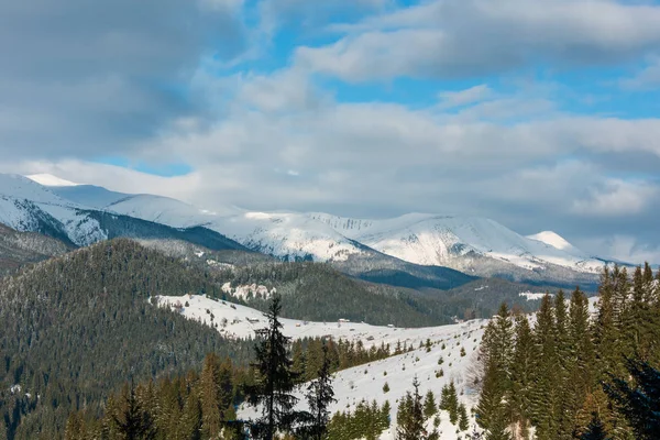 Manhã Neve Inverno Coberto Paisagem Pitoresca Montanha Alp Ucrânia Montanhas — Fotografia de Stock