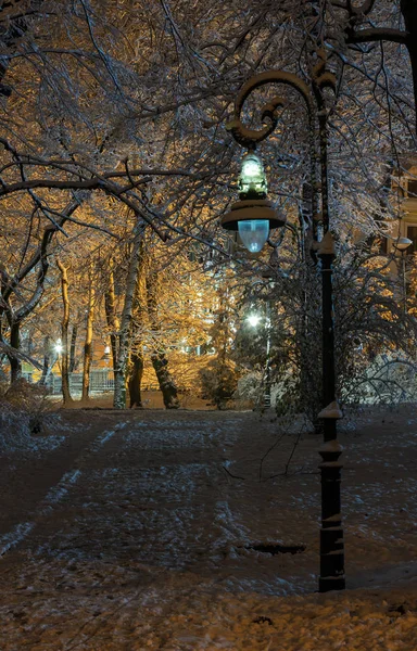 Schöner Fußweg Beleuchteten Winter Ivan Franko Park Lviv Stadtzentrum Ukraine — Stockfoto