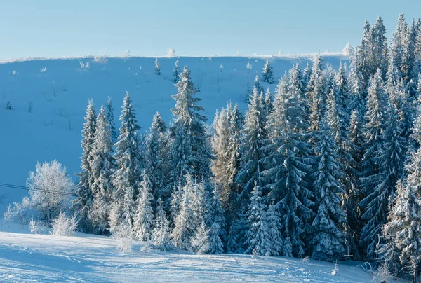 Ochtend Winter Rust Berglandschap Met Mooie Glazuur Bomen Sneeuwlaag Helling — Stockfoto