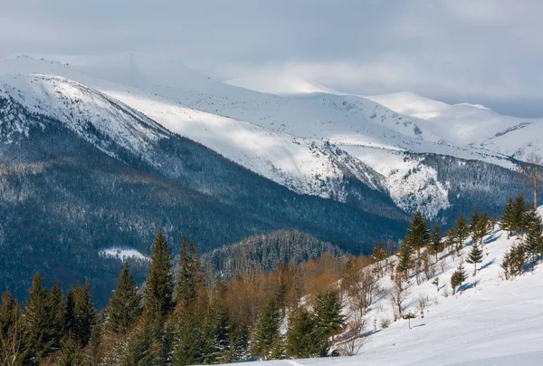 冬雪覆盖风景风景如画的高山山脊 乌克兰 Chornohora 宁静宁静的景色从 Dzembronya 村郊区丘陵 — 图库照片