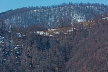 Erken bahar Karpat Dağları manzara orman, Ukrayna ile tepe..