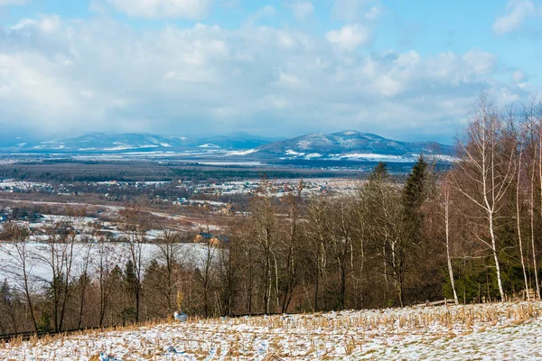 Paisagem Montanha Inverno Com Campo Encosta Colina Bosque Bétula Aldeia — Fotografia de Stock