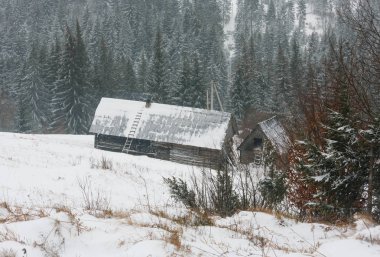 Sabah erken kış dağ köyü manzara (Jablunytsia Köyü, Karpat Dağları, Ukrayna). Bazı blizzard ile rüzgarlı kötü hava bulutlu.